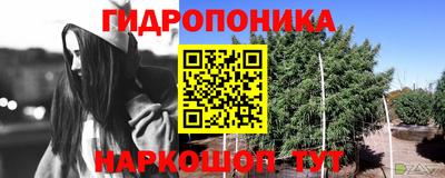 амф Бердск