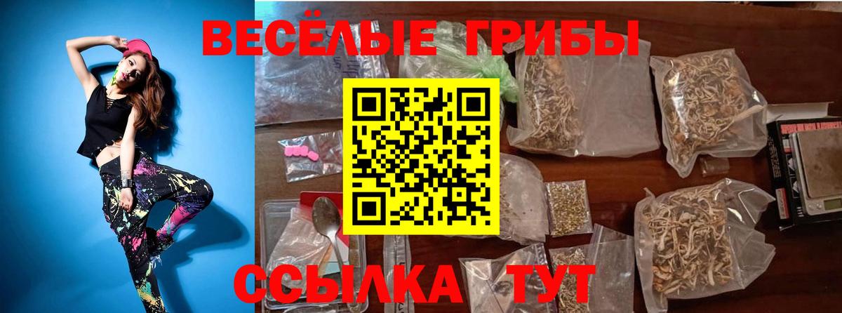 Псилоцибиновые грибы ЛСД  Вход с VPN  Кунгур 